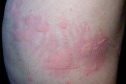 ��ô�ܹ�����ţƤѢ���������