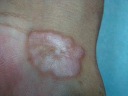 ţƤѢ�����ص���ʲô