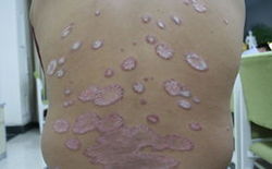 �����������ţƤѢ��